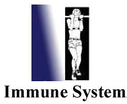 immune system